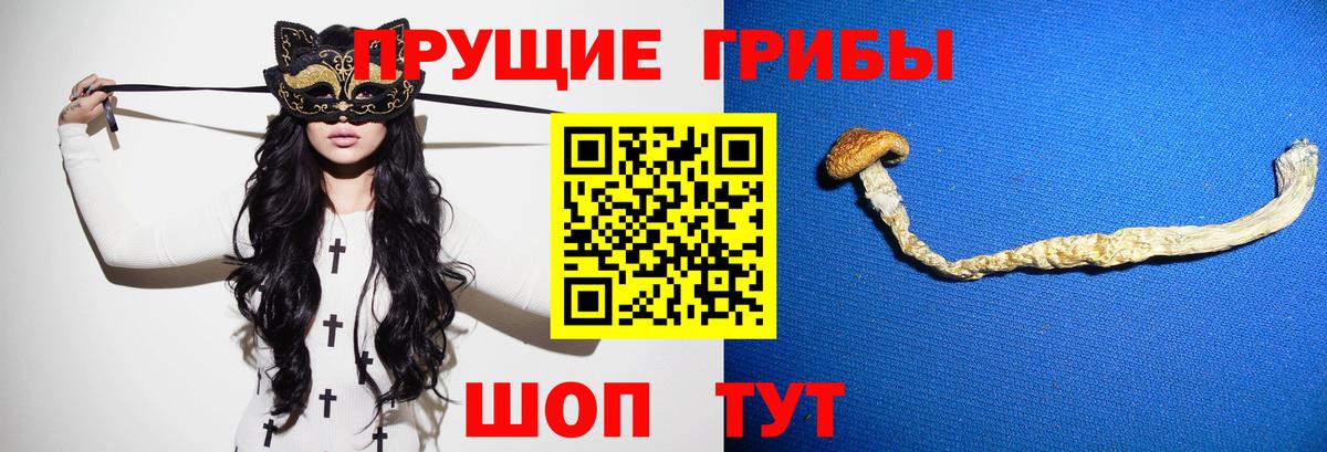 Галлюциногенные грибы MAGIC MUSHROOMS  Галлюциногенные грибы Cubensis  Вход с VPN  Уварово 
